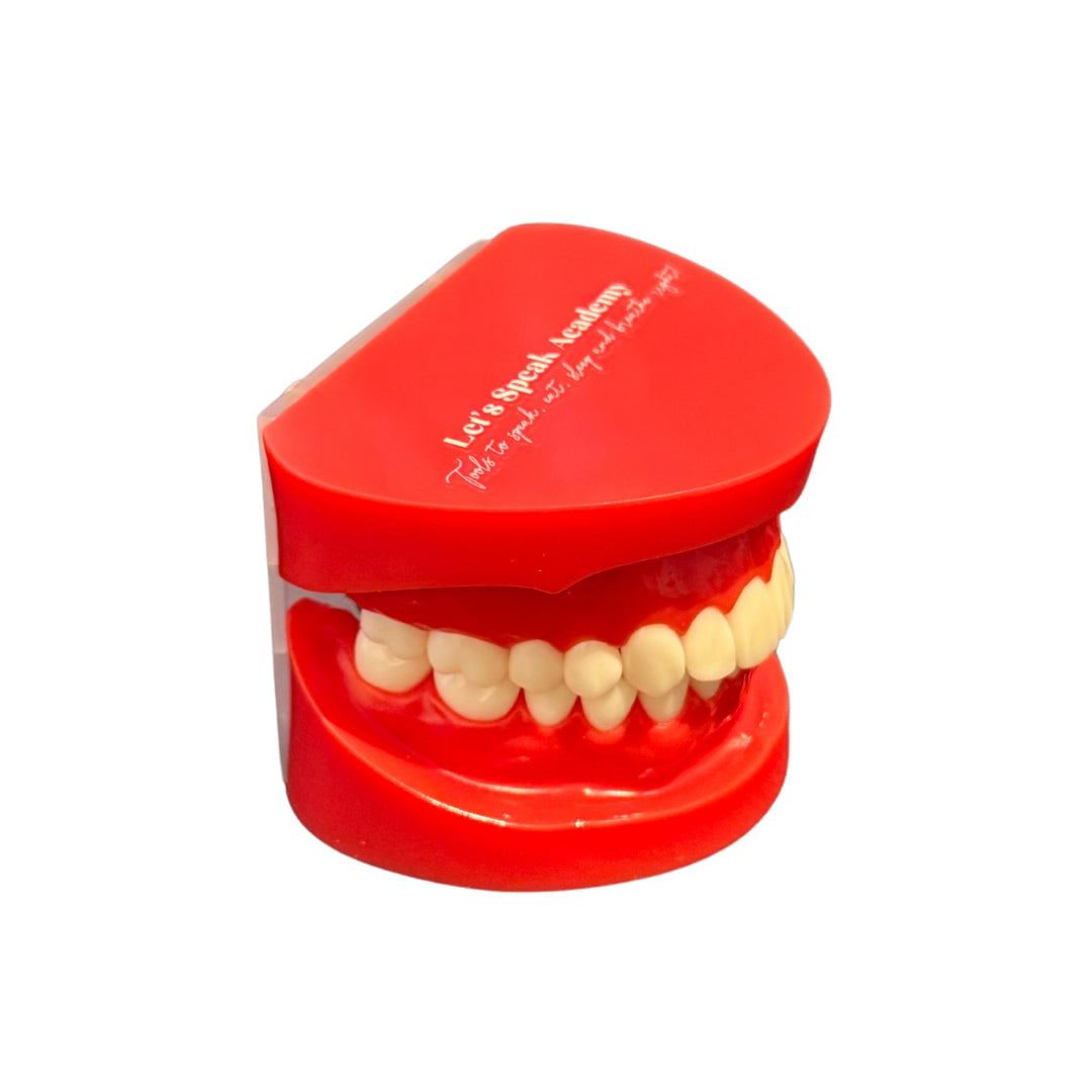 Anatomiemodel realistisch gebit + verhemelte