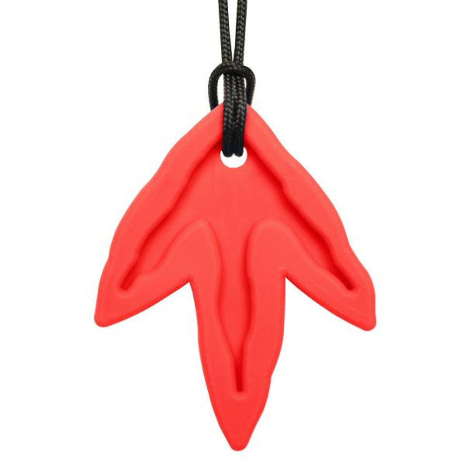 ARK Dinopoot kauwketting - Dino-Tracks