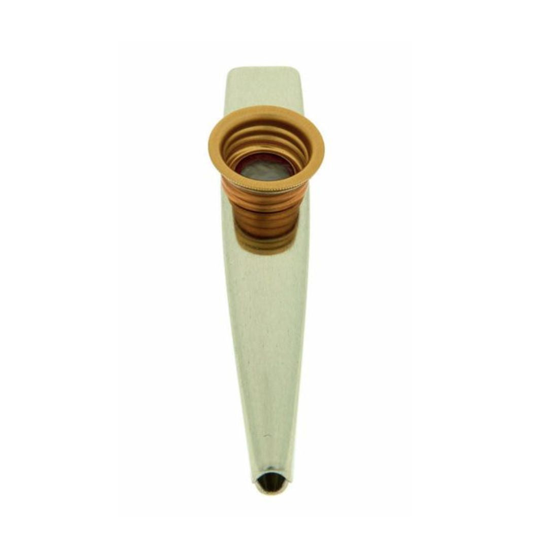 Kazoo Stemgeving trainen 